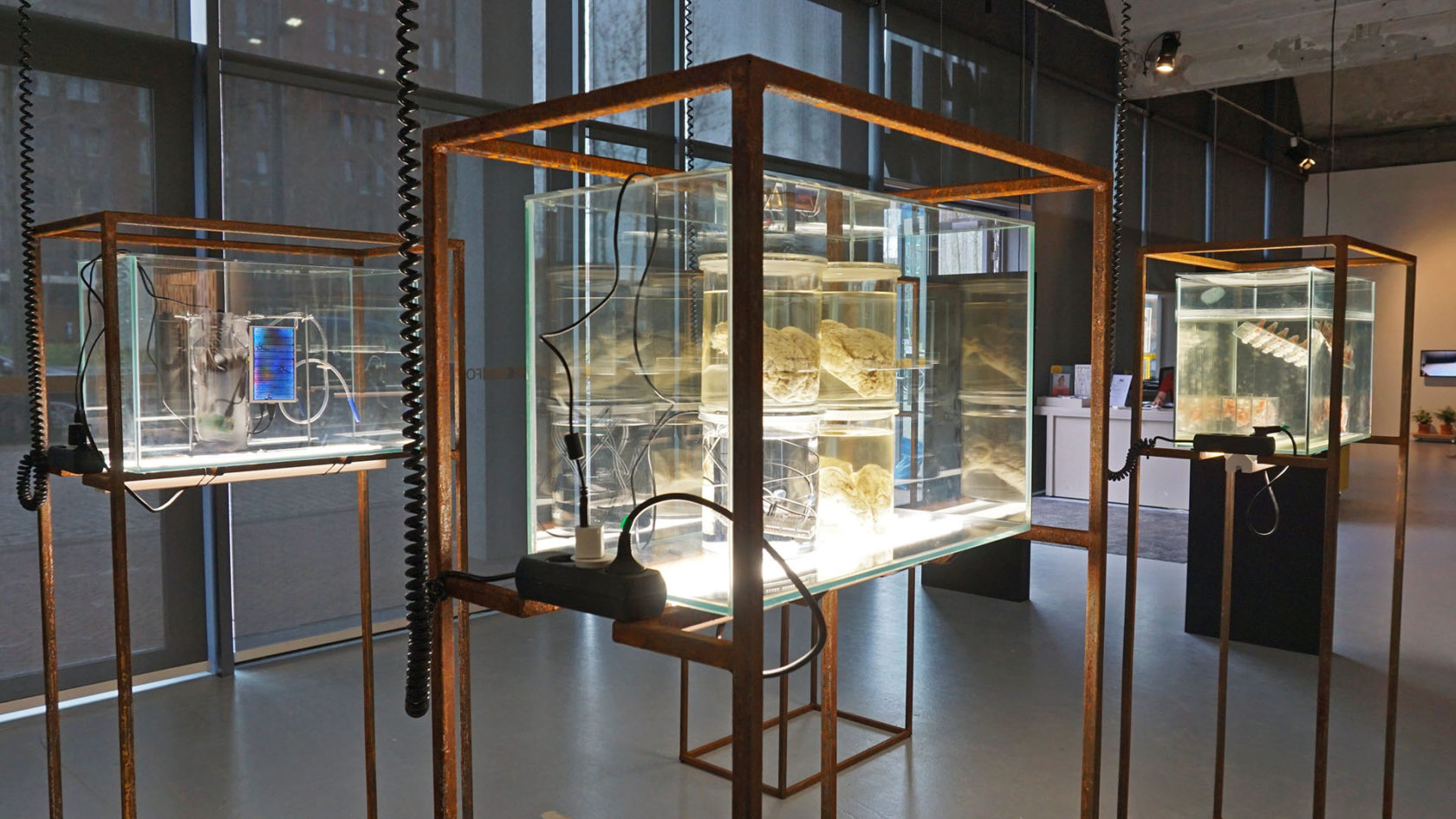 Muterende systemen bij MU in Eindhoven