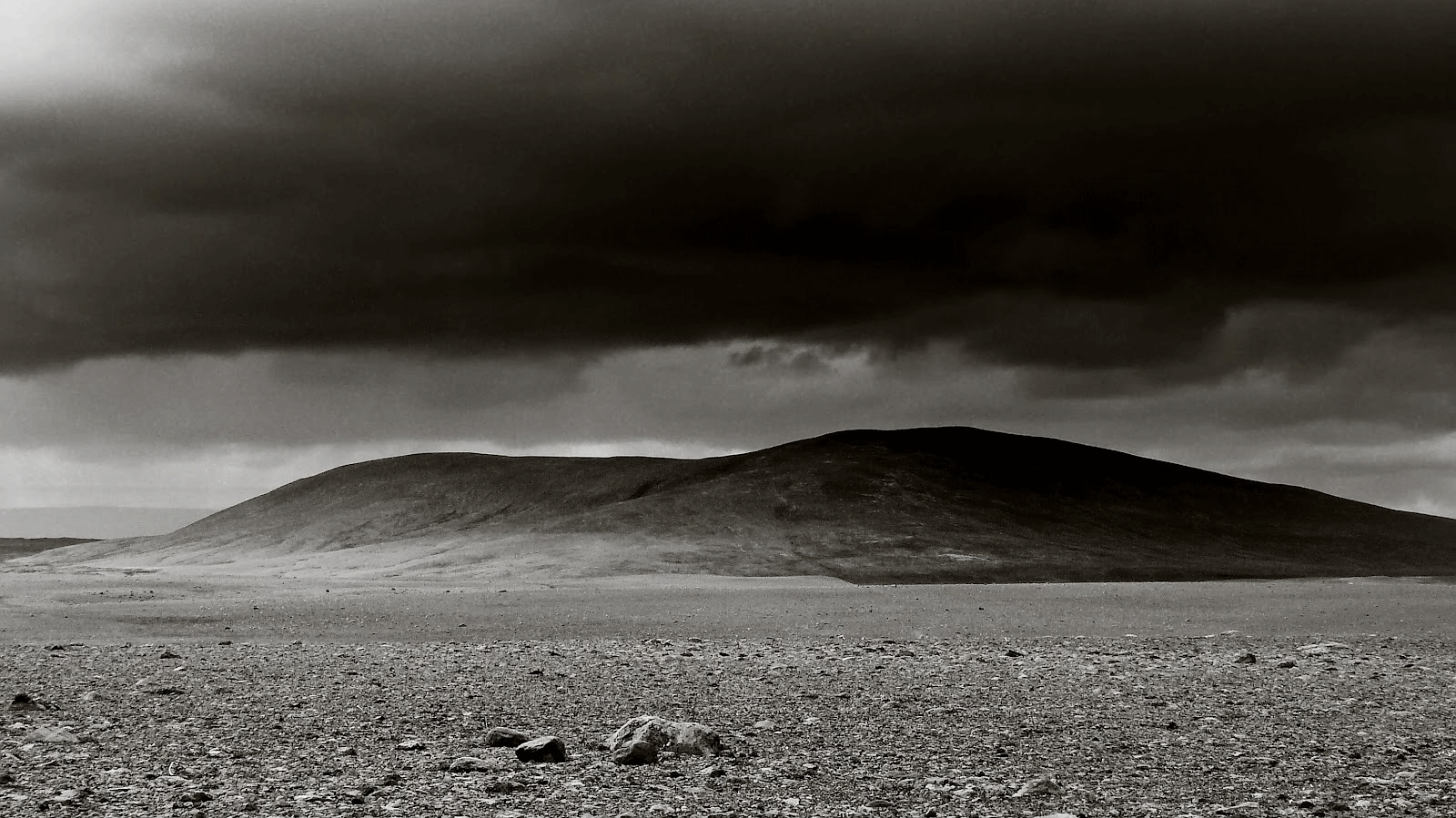 Stroom Invest interviews / curator Sandino Scheidegger