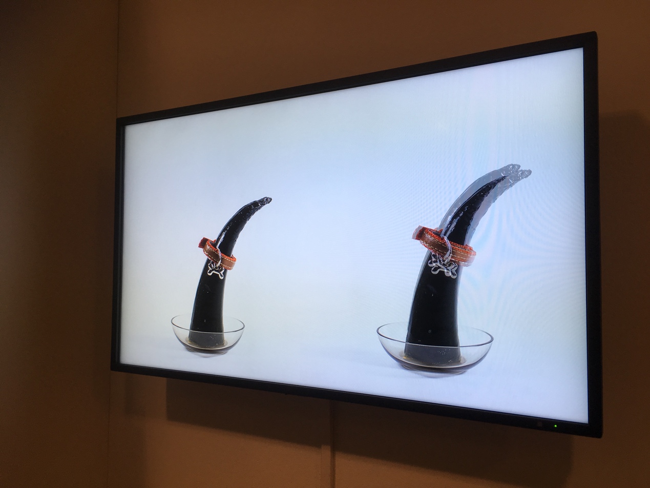 AKI BIO MATTERs: Biodesign of Plastocene @ Tetem