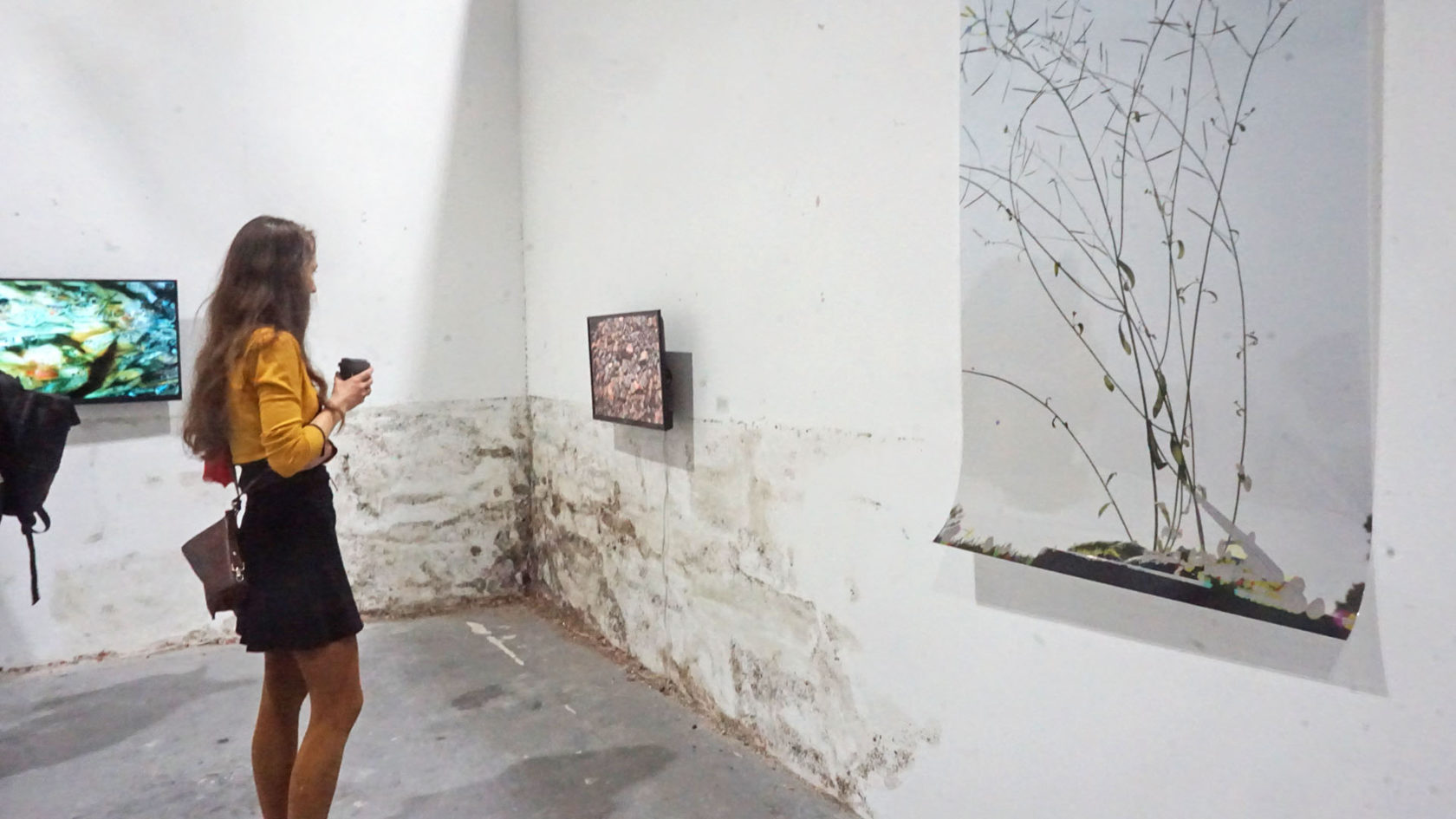 Platforms Project, indie art fair in het hart van de democratie