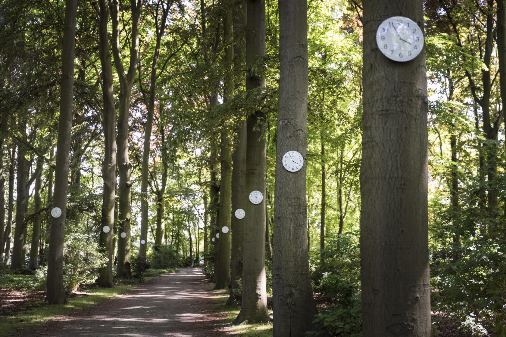 (L)even op een eiland