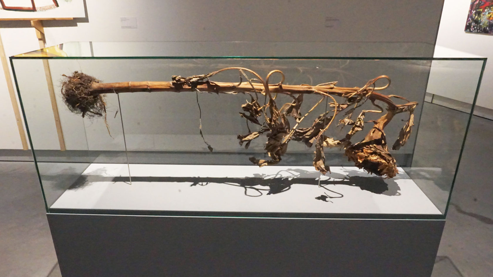 Raketstart vanaf lanceerbasis Breda