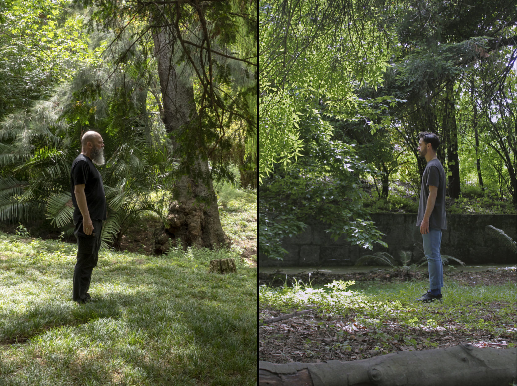 Het reliëf van de stad