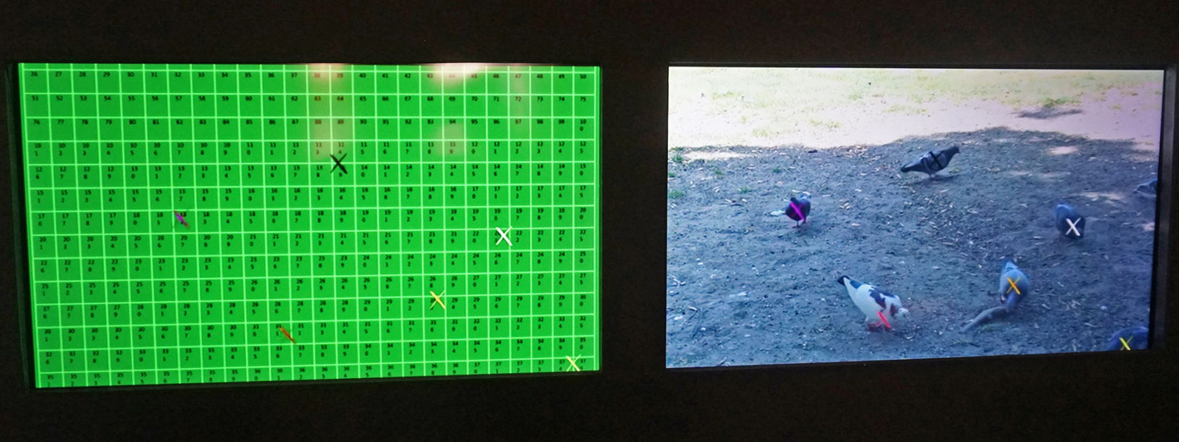 Growlers, Cracklers & Bursters