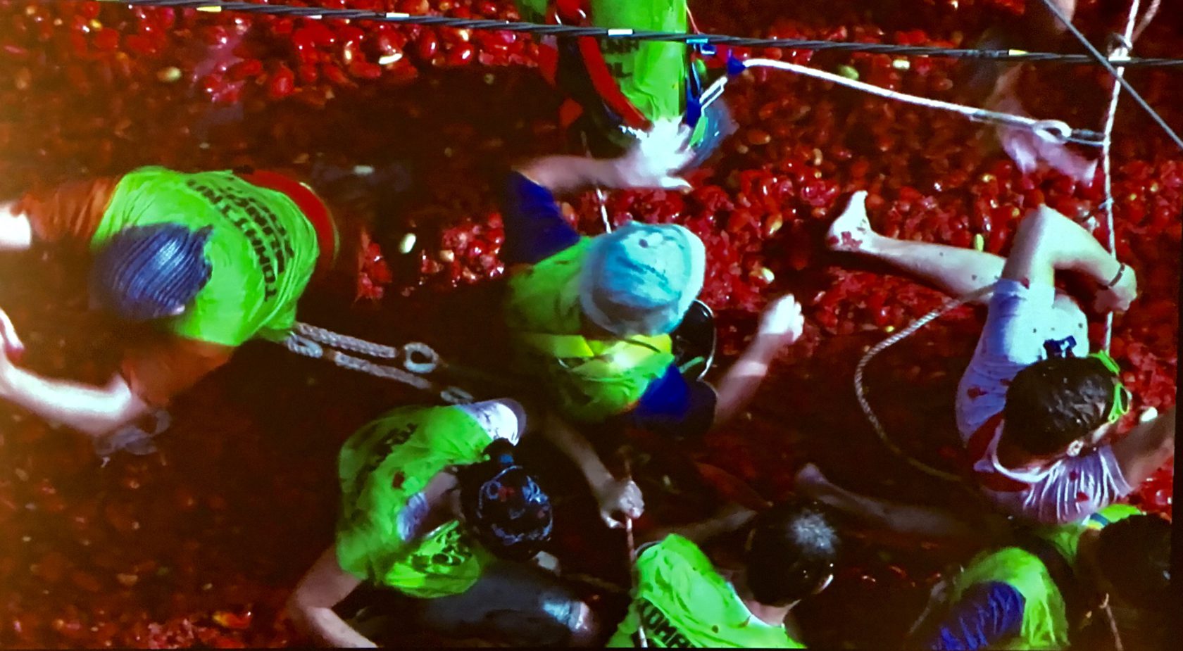 LAM – Lisser Art Museum