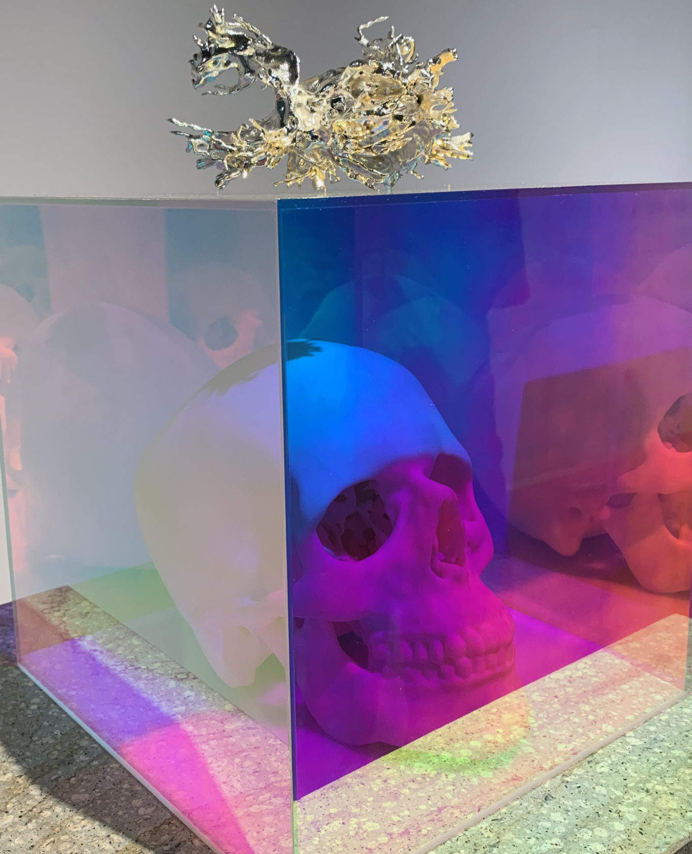 Beelden met grote thema’s, lichamen met harde feiten