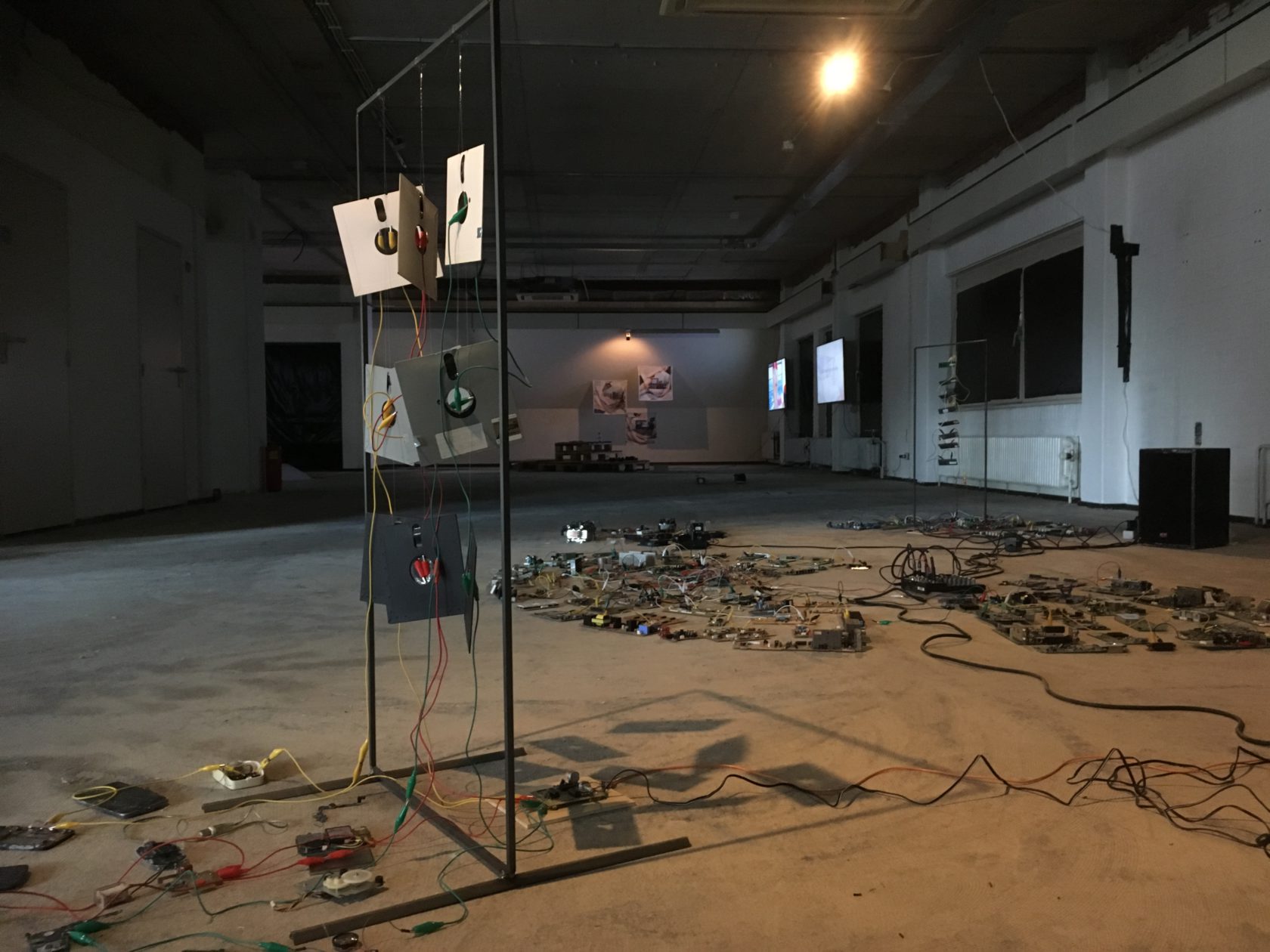 GOGBOT, jong multimedia bloed uitgelicht