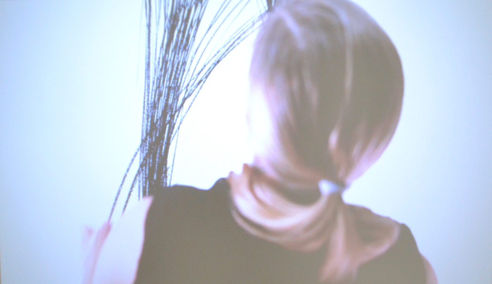 Unhide All & Embodied Lines in Diepenheim