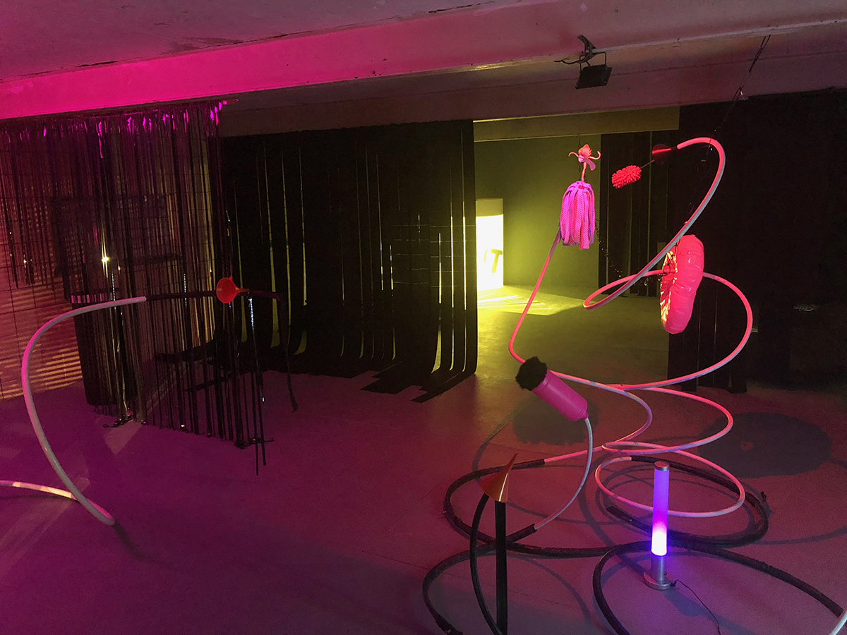 5 jaar melklokaal. Wat? Ja, melklokaal. Waar? In Heerenveen.