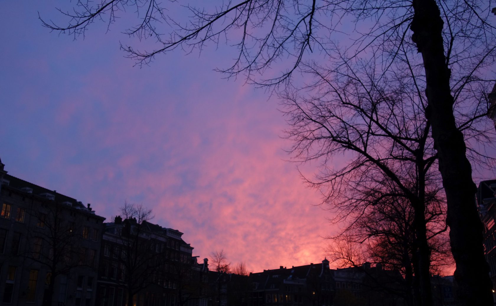 Fotograferende genieters in FOAM en Huis Marseille