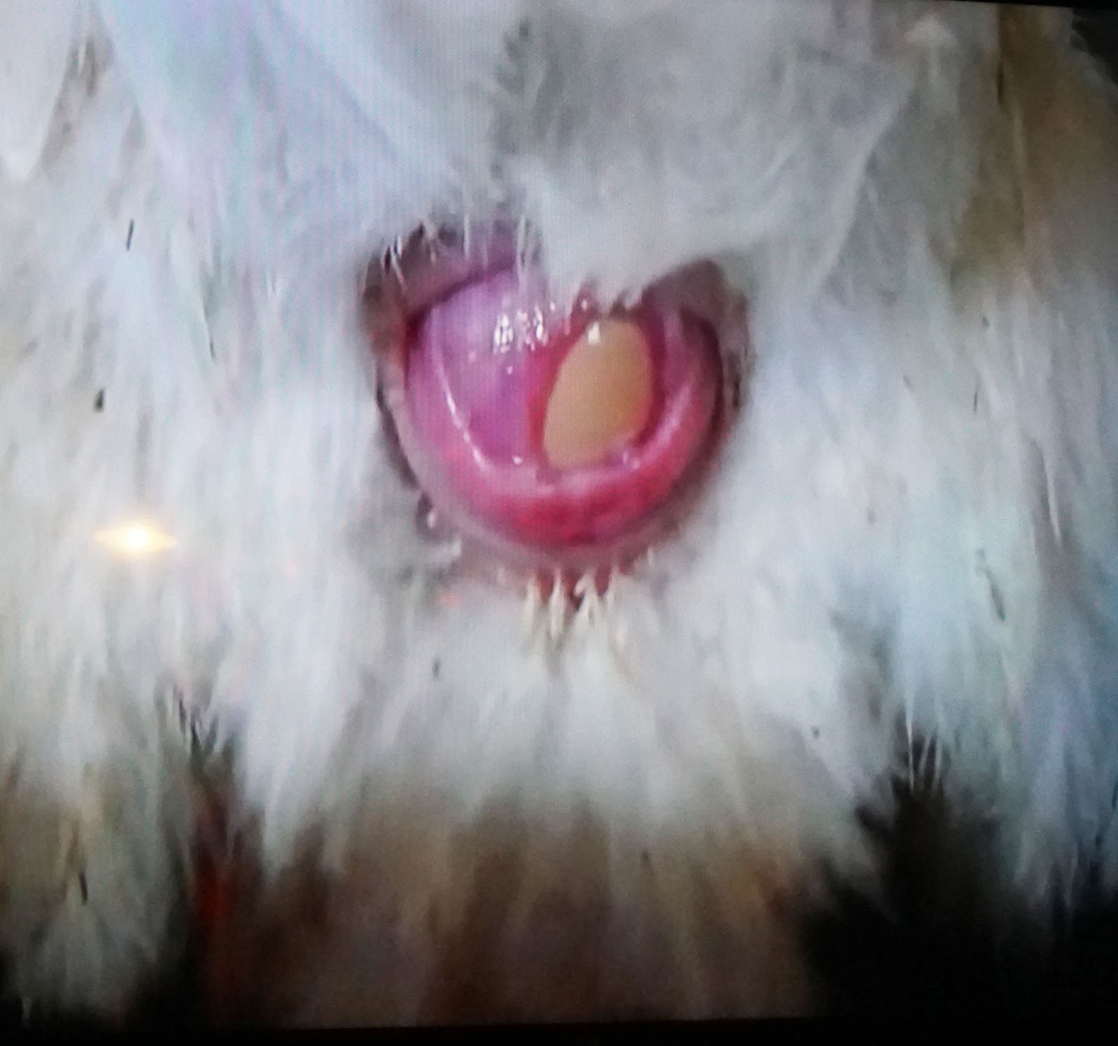 Just another Night of Experimental Boredom