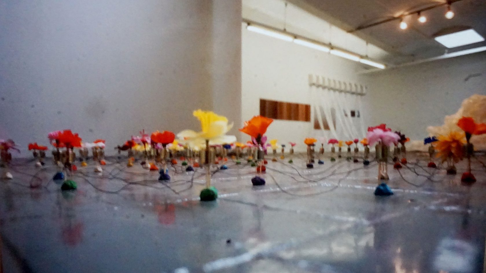 Hoogtij, de geschiedenis van de Haagse rondgang – deel 1