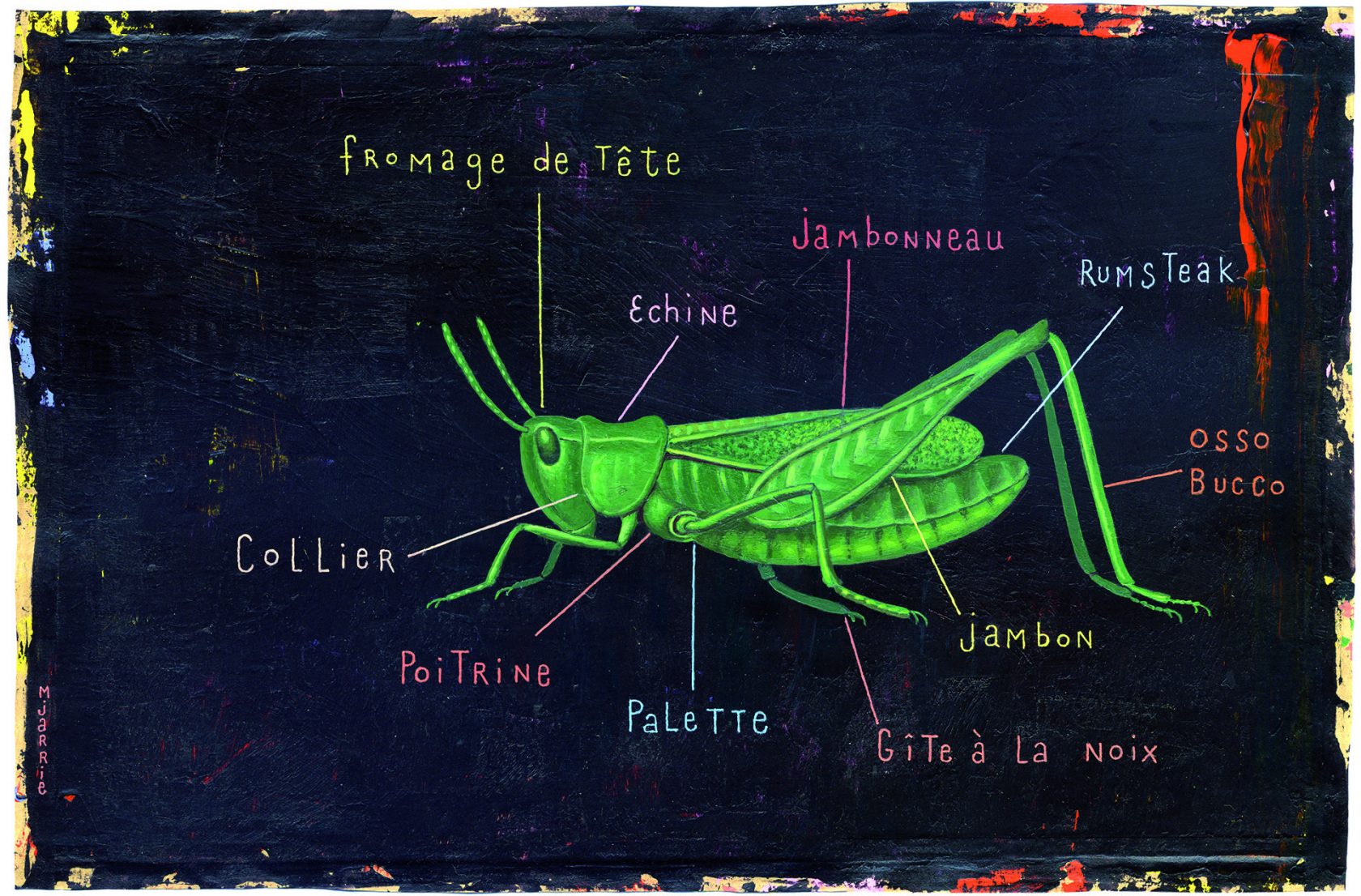 Huisje, boompje, beentje