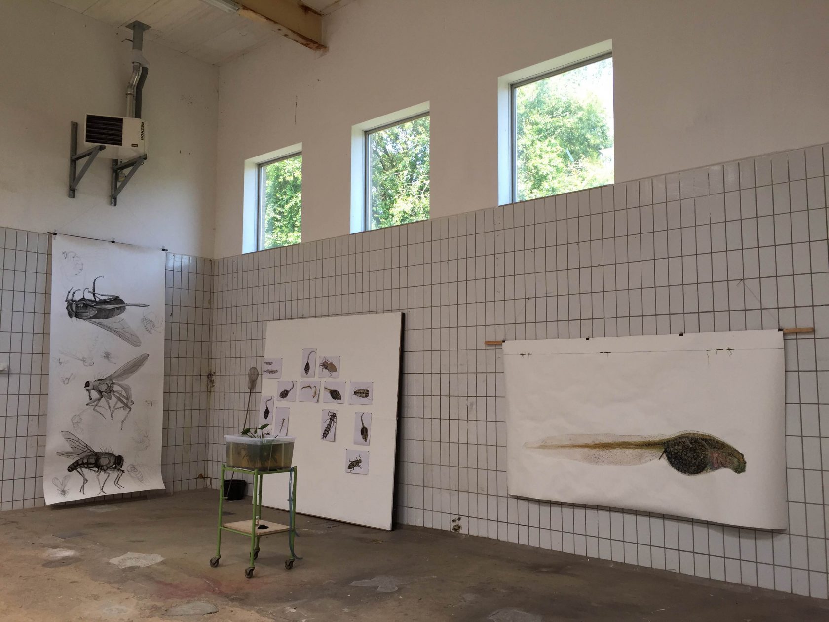 Actuele kunst verdwijnt uit Drenthe