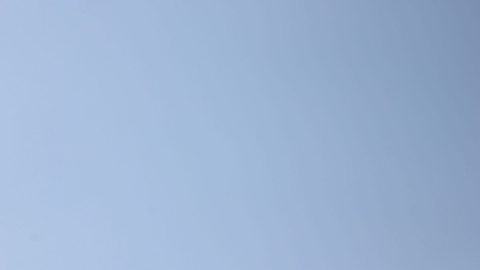 Kleine aanrakingen grote lessen: door Michel Houellebecq en Judith Butler