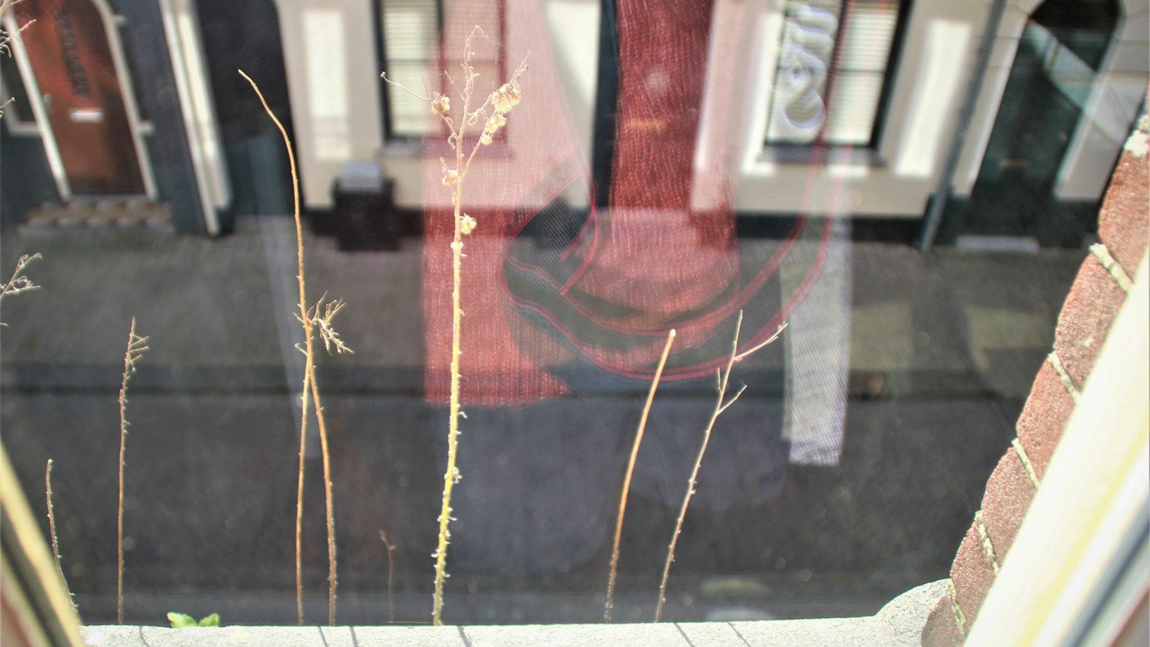 Kleine aanrakingen grote lessen: door Michel Houellebecq en Judith Butler