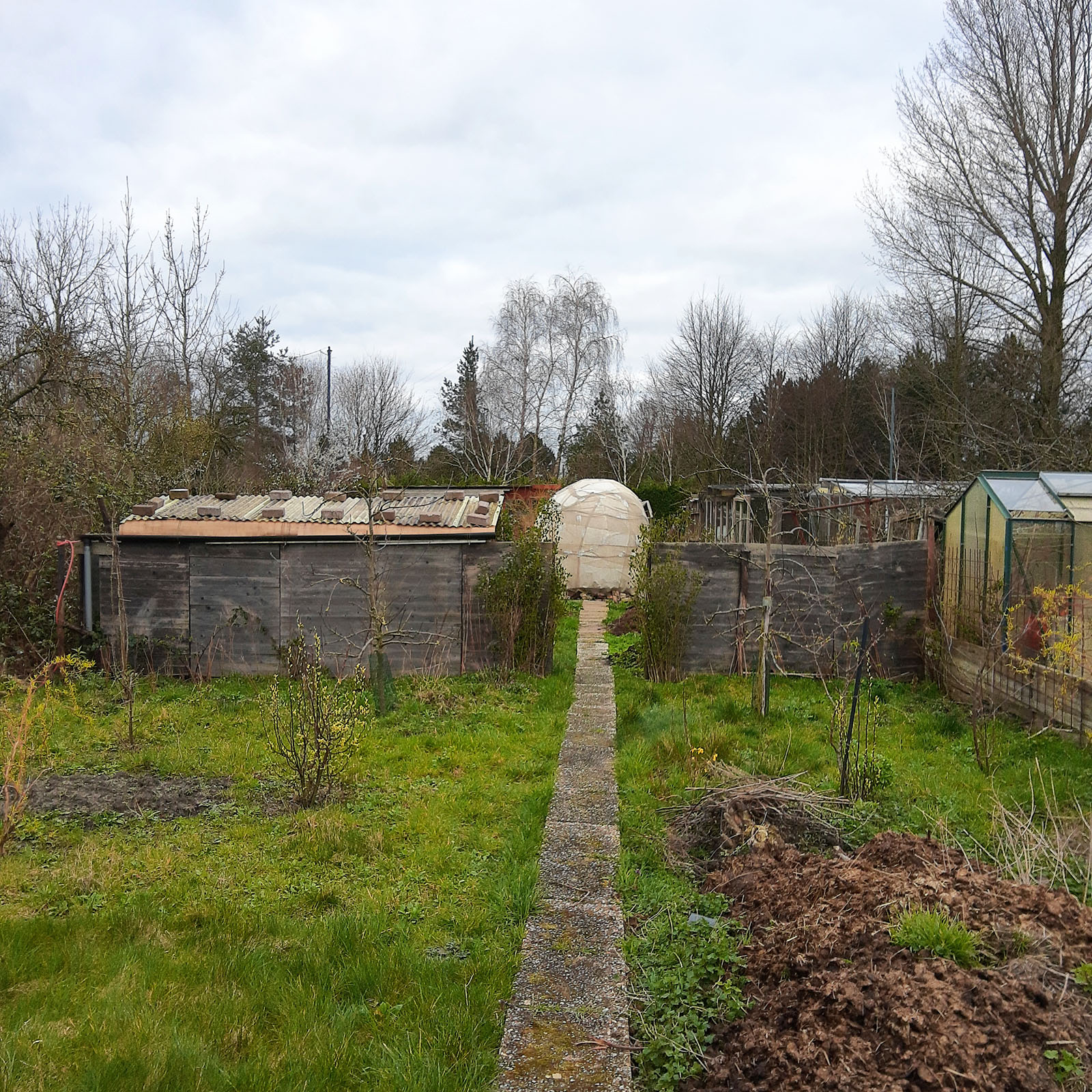 verhaal (Ilya en Urs)