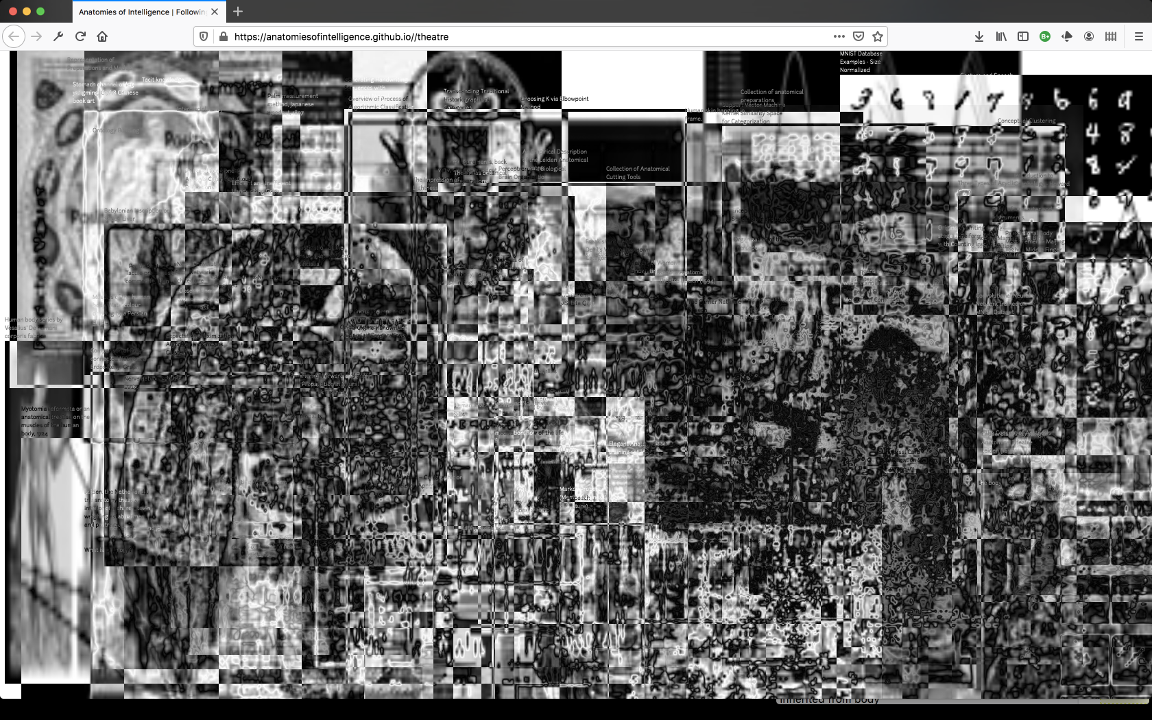 Meet iii-resident Joana Chicau