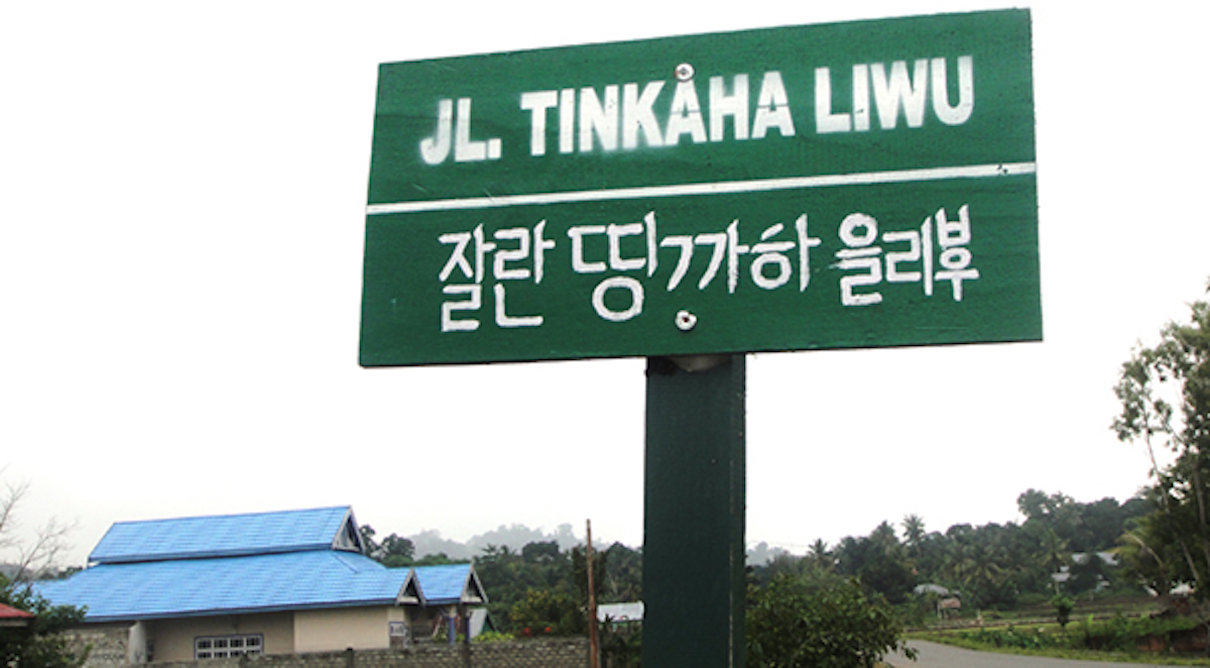 Stroom Invest interviews / artist Minsook Kang