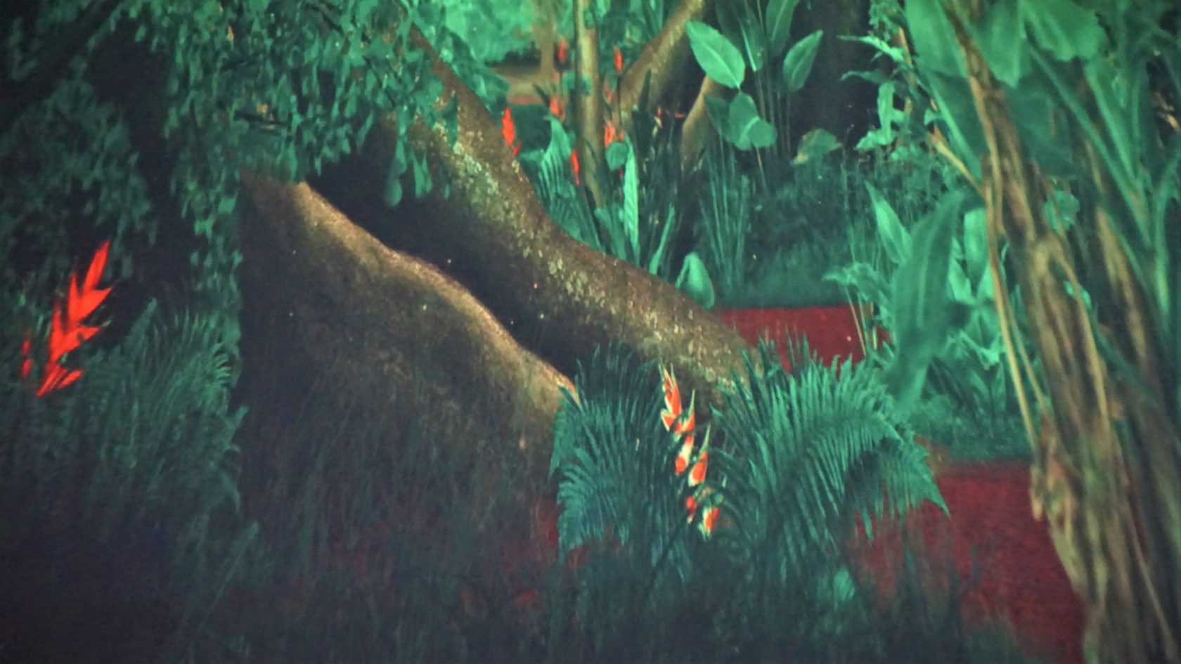 Waar een wil is, is een weg