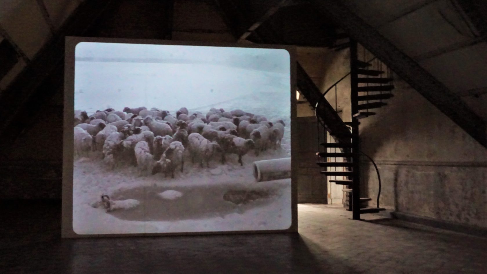 Mirrors of Time – terugkijken in de tijd