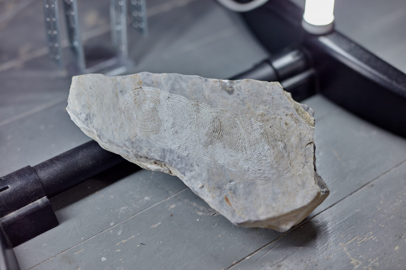 Meet iii-residents EJTECH