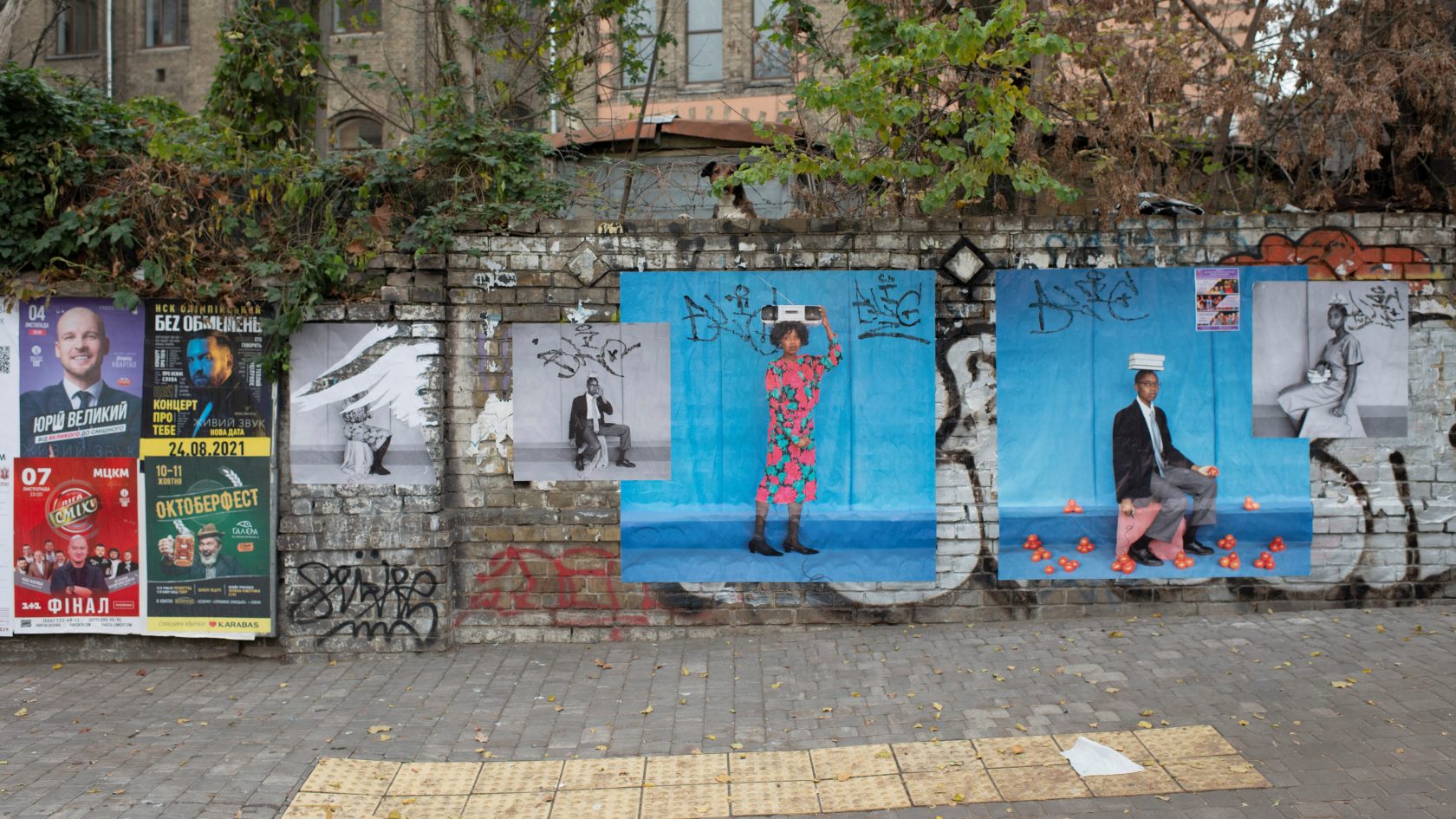 Bird in Flight 2020 – photohacks in Kyiv