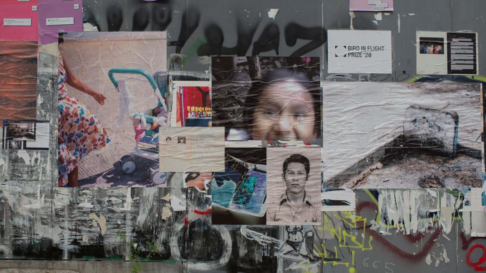 Bird in Flight 2020 – photohacks in Kyiv