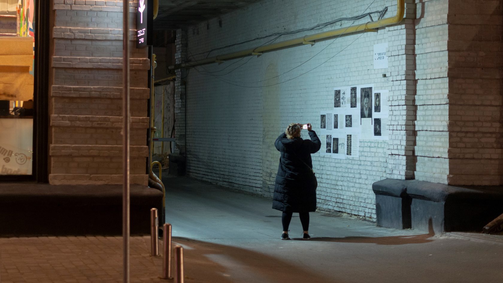 Bird in Flight 2020 – photohacks in Kyiv