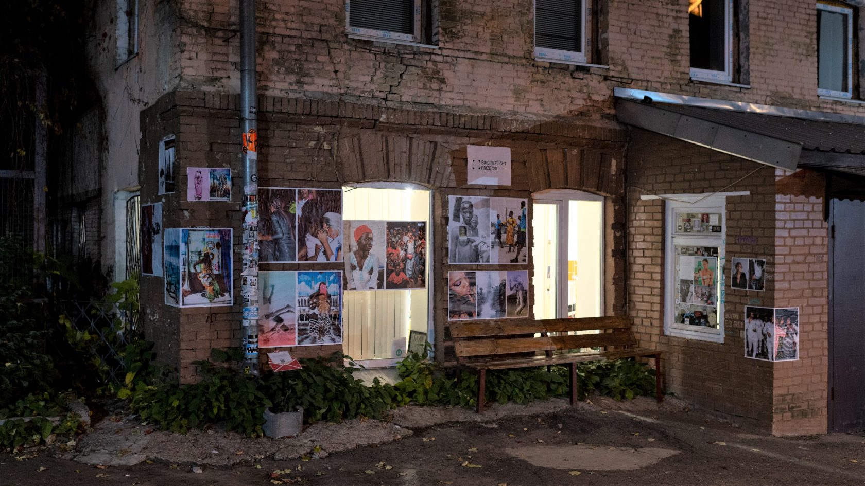 Bird in Flight 2020 – photohacks in Kyiv