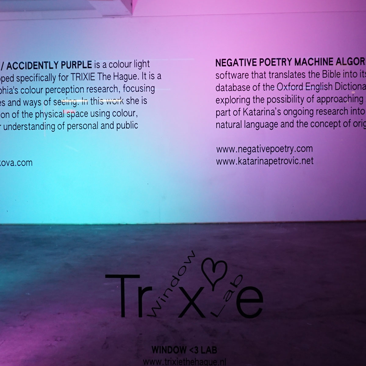 Covid-19 raamexposities voor lange winteravonden