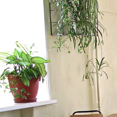 Wachtkamer Voorstel 7