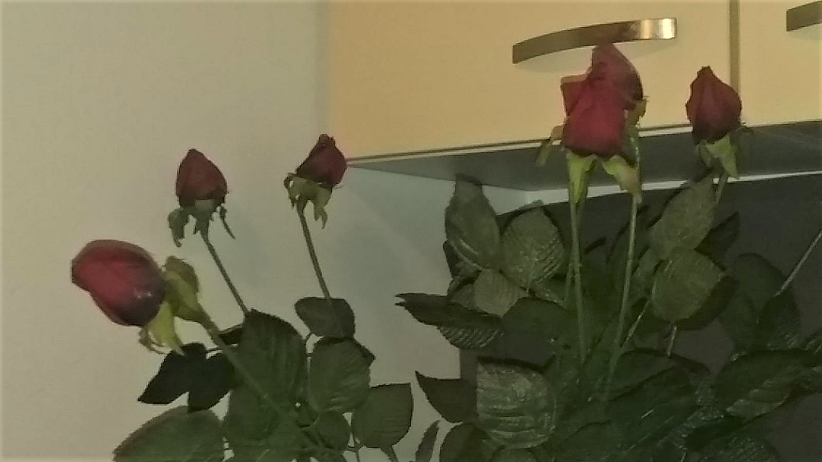 De briefwisseling – deel 2: condensatie