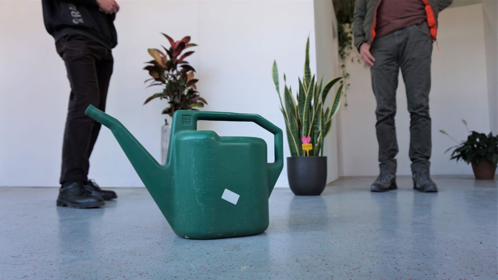 Kunst_planten op de Intensive Care @ Hgtomi Rosa