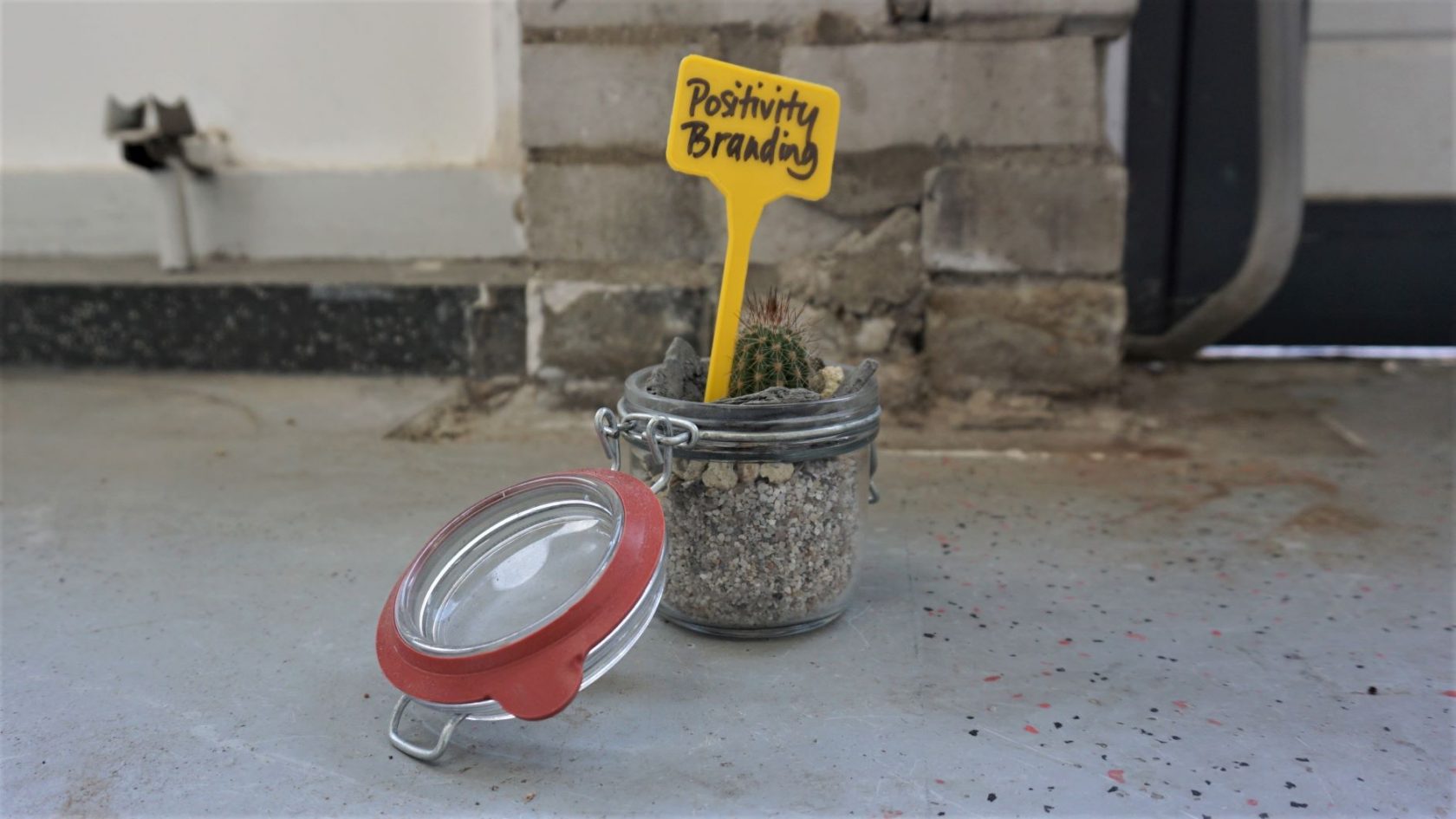 Kunst_planten op de Intensive Care @ Hgtomi Rosa