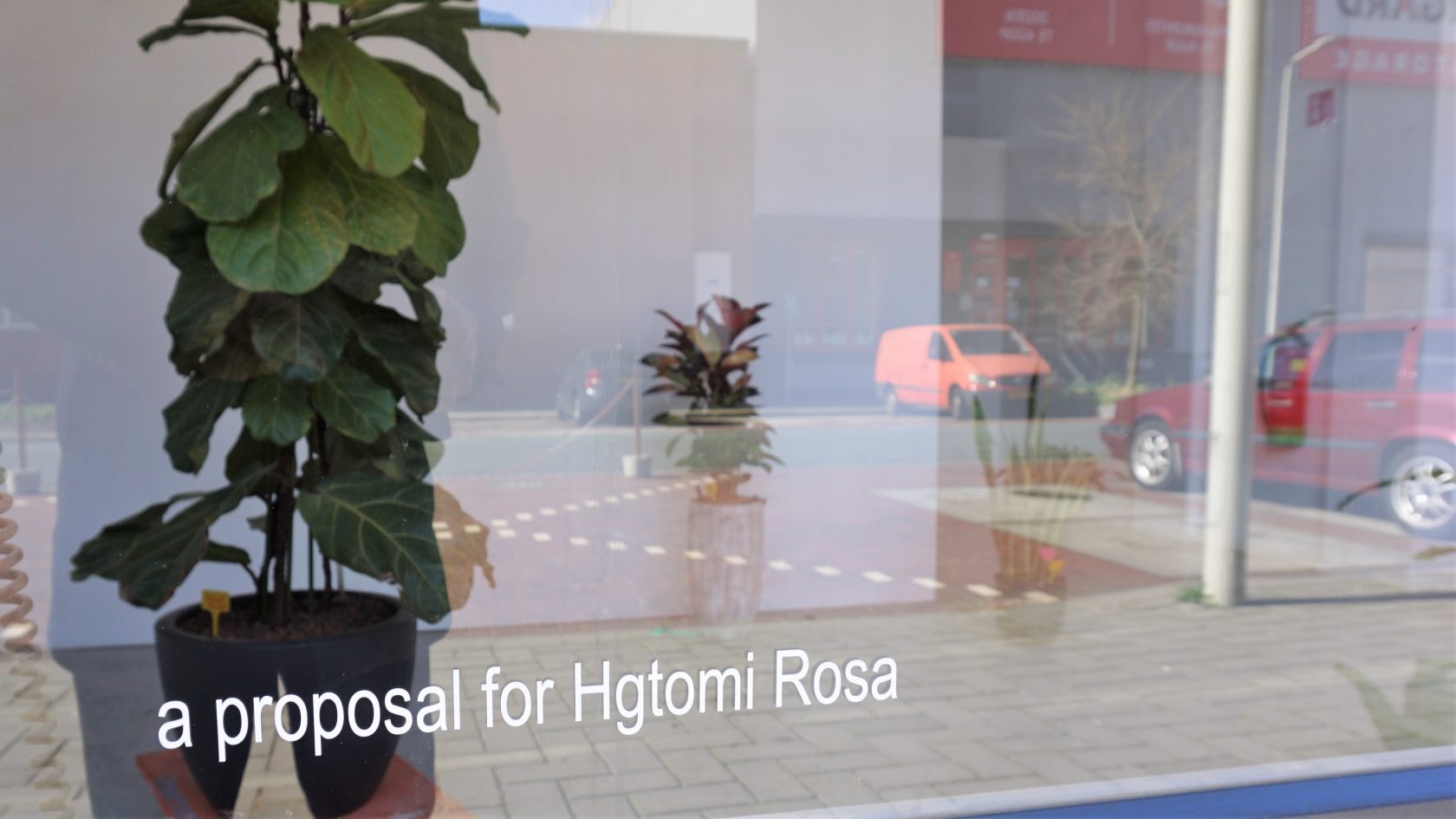 Kunst_planten op de Intensive Care @ Hgtomi Rosa