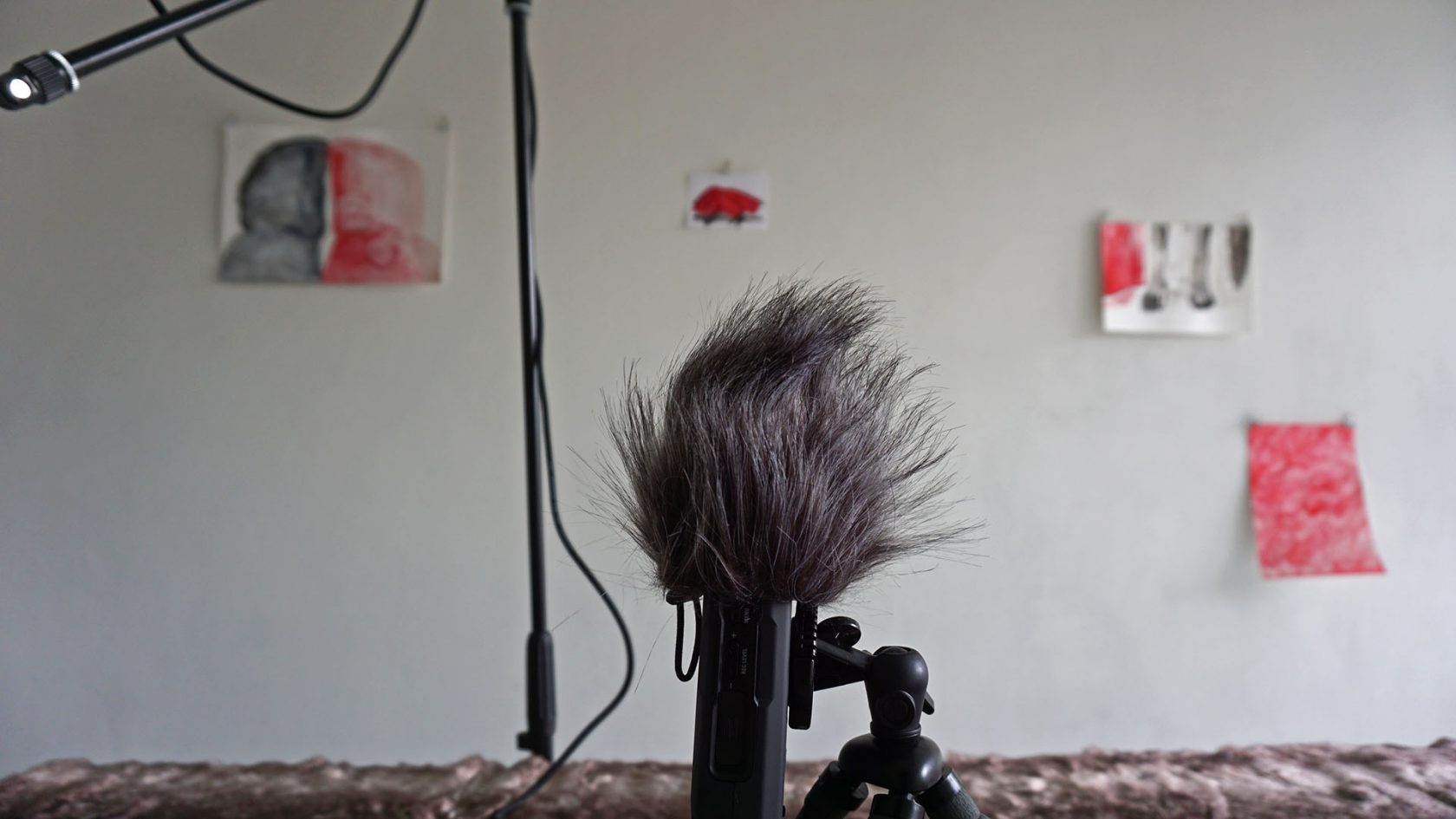 Josje Hattink in het hol van de wolf