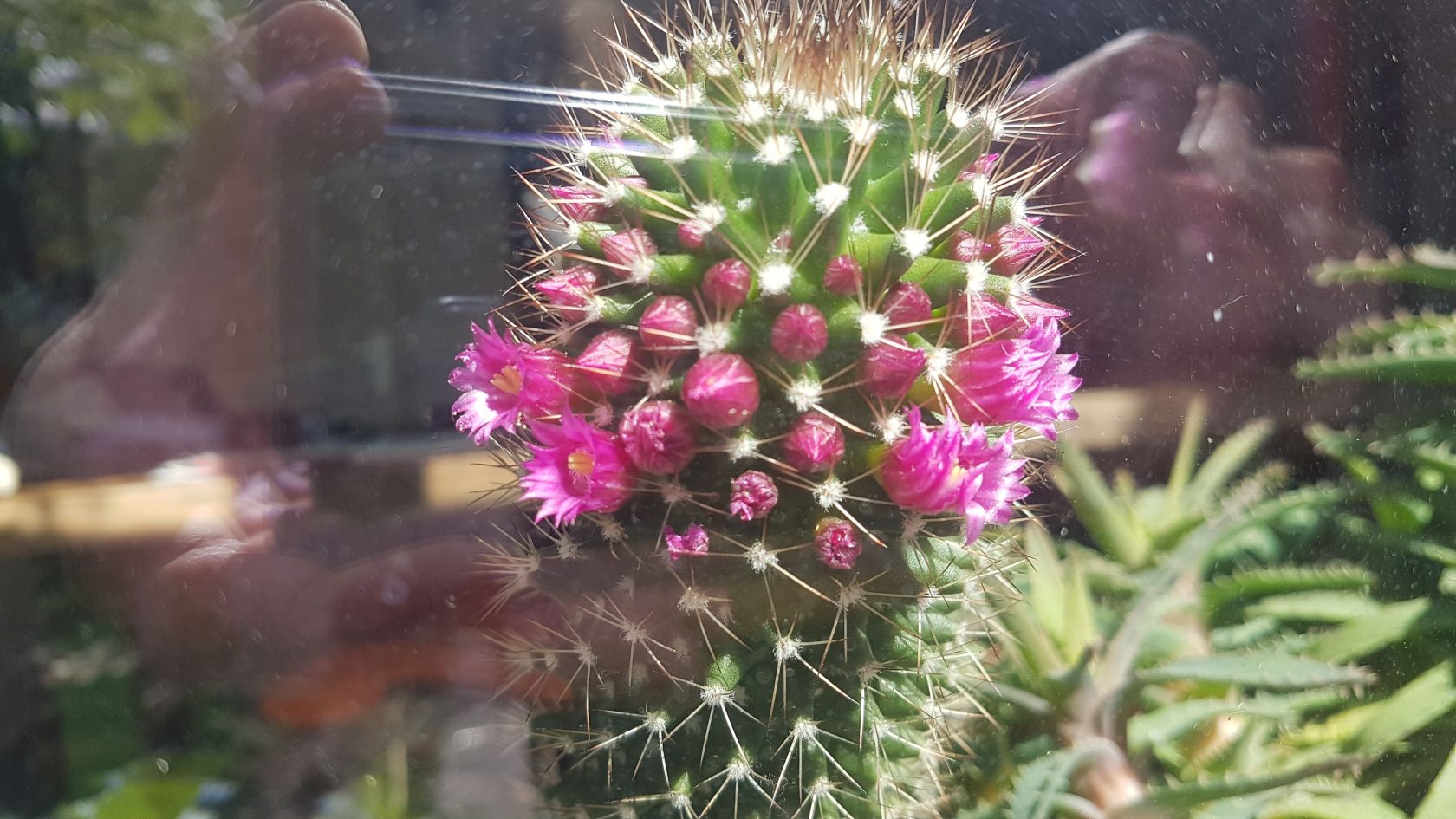 Post-Corona met kunstenaar Iris Bouwmeester