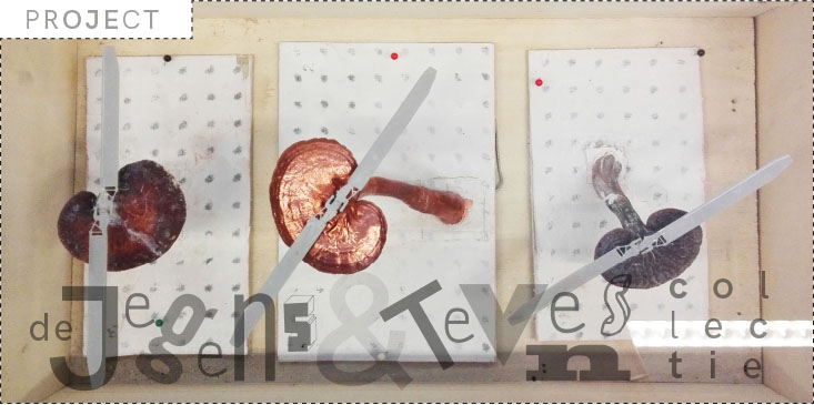 BOTSING – De Jegens & Tevens Collectie