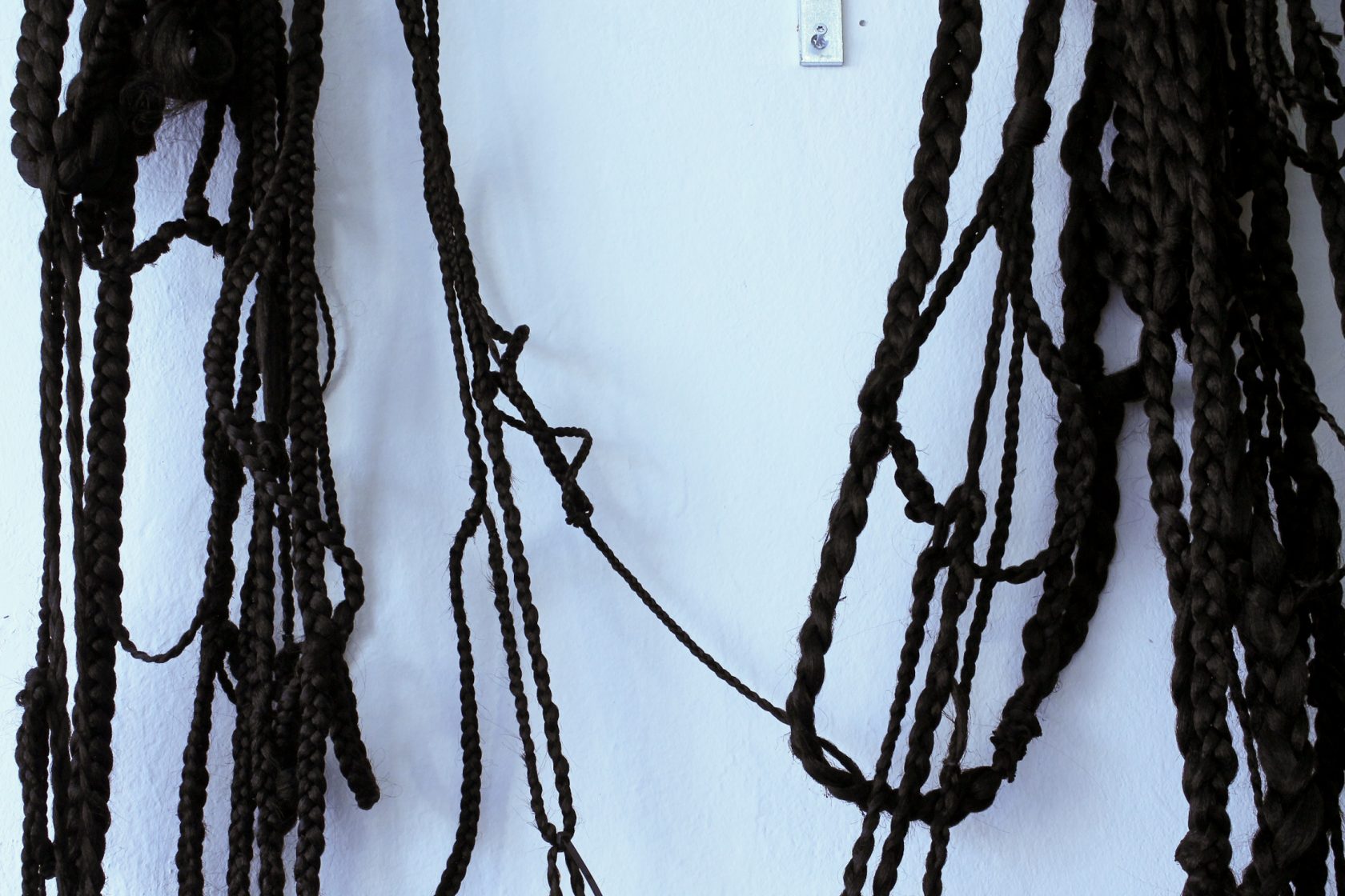 Constructing a Mouse’s Skull @ SIGN – part 2