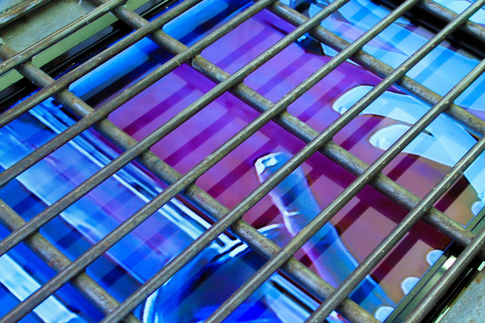 Constructing a Mouse’s Skull @ SIGN – part 2