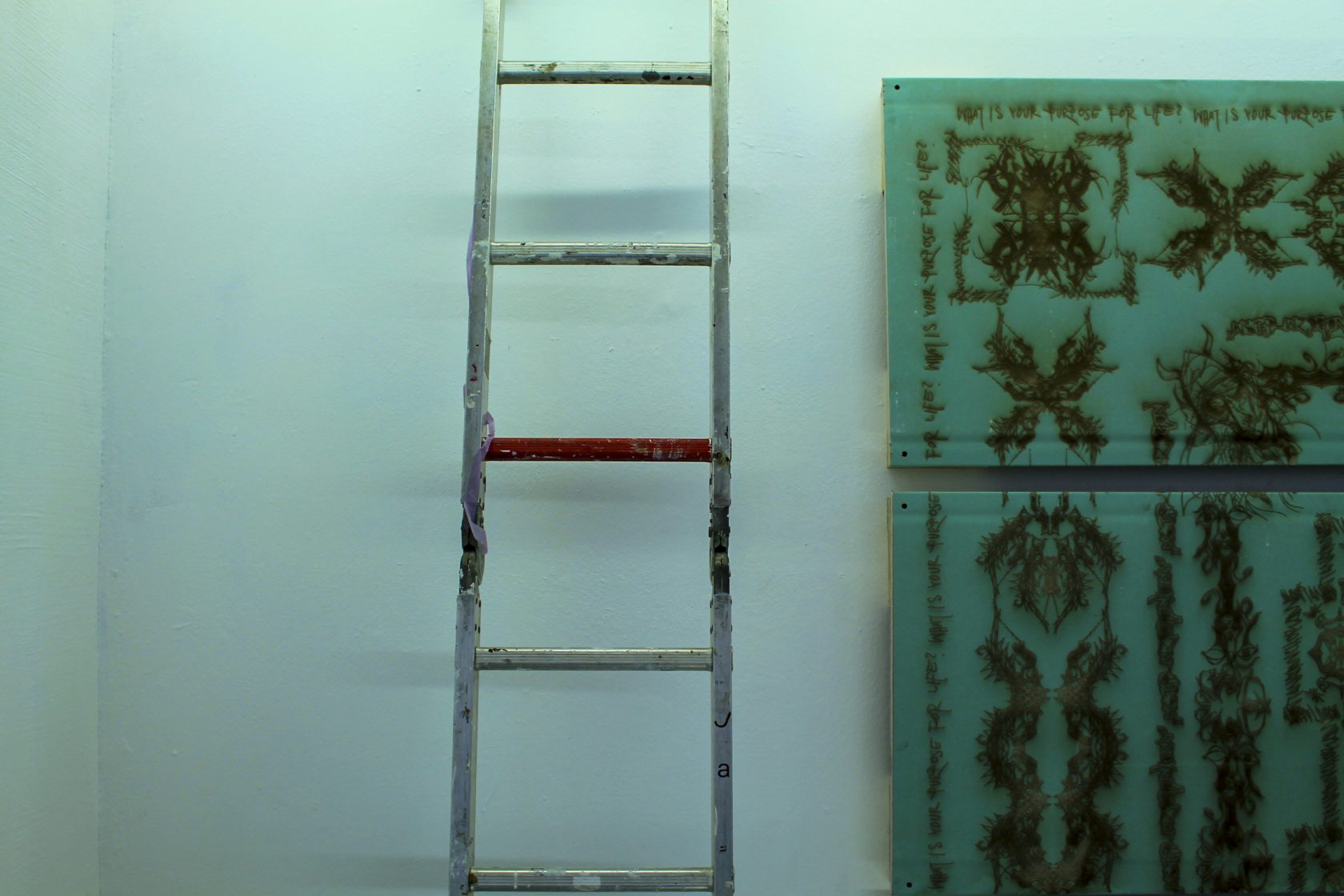 Constructing a Mouse’s Skull @ SIGN – part 2