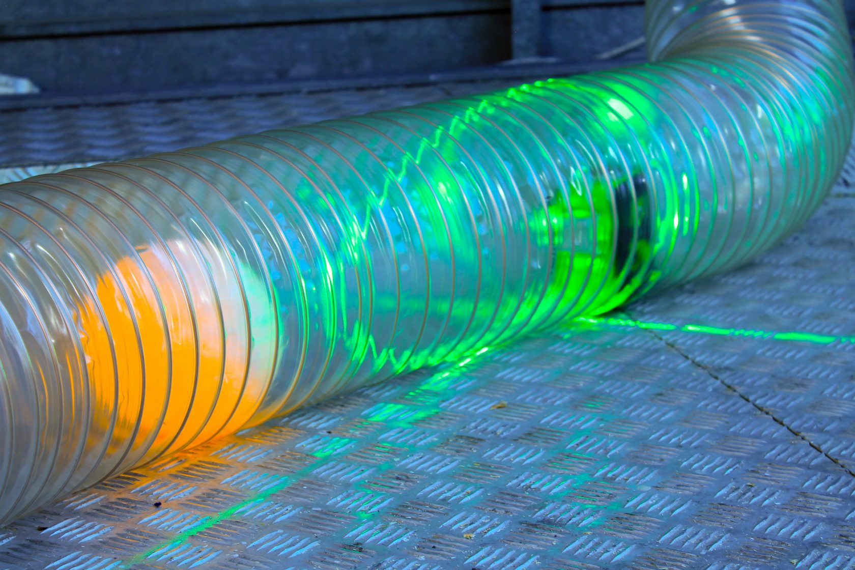 Constructing a Mouse’s Skull @ SIGN – part 2