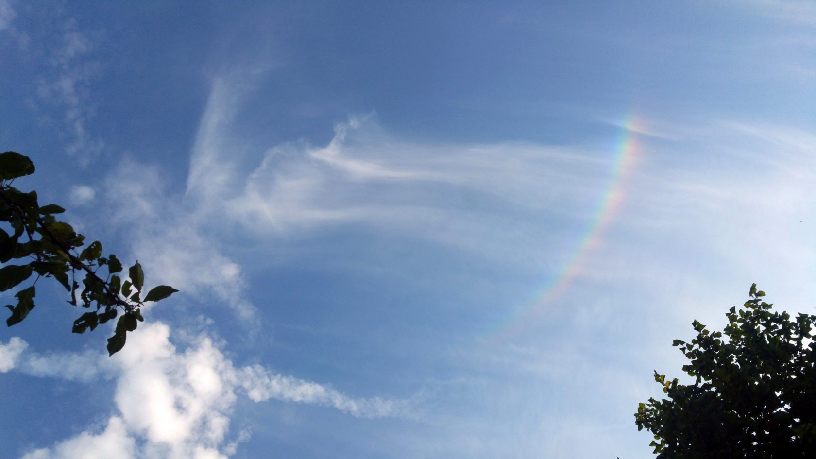 Post-Corona met kunstenaar Judith Schepers