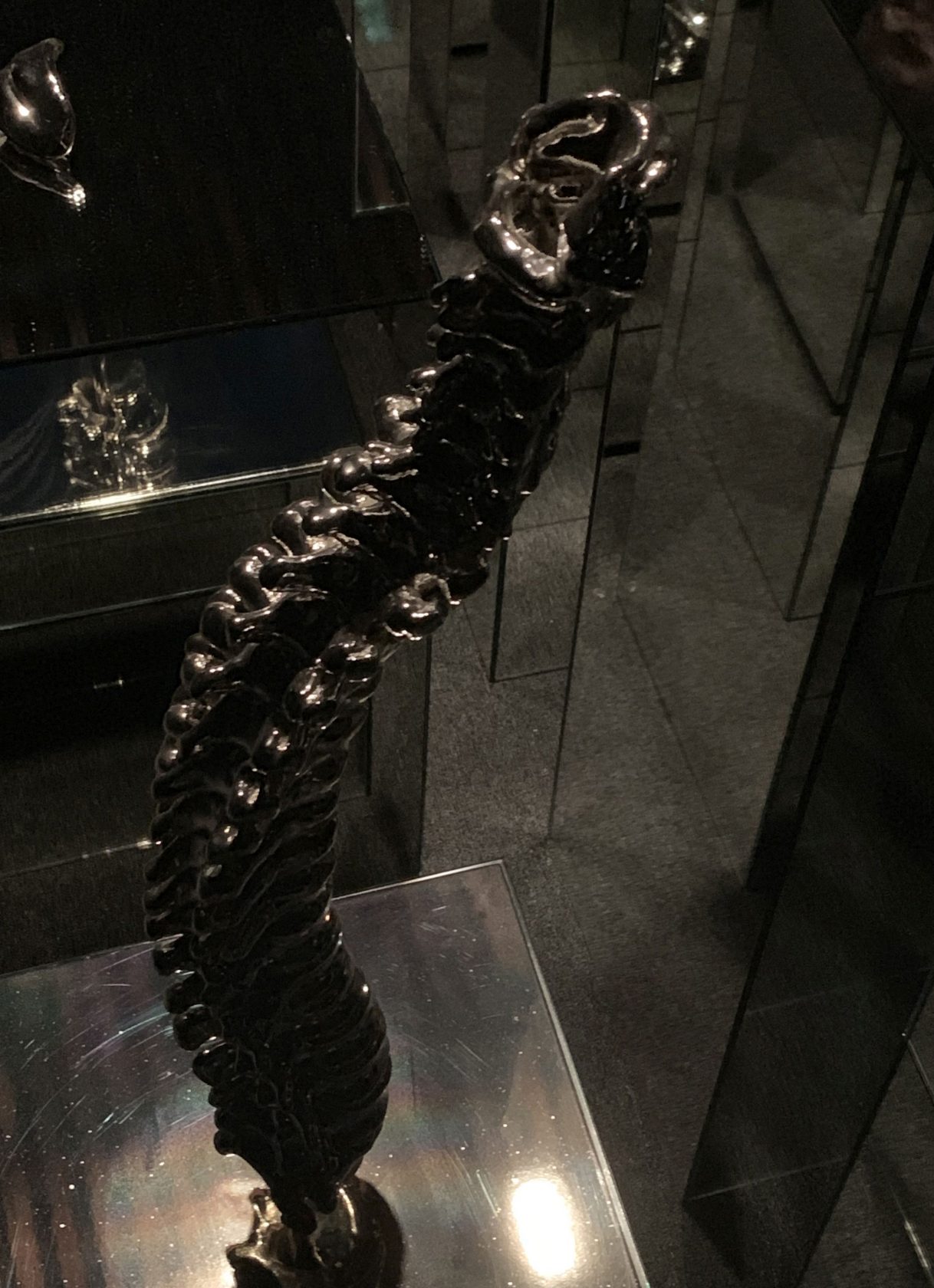 EXTRACT – De nieren, hersenen, longen en meer van Itamar Gilboa