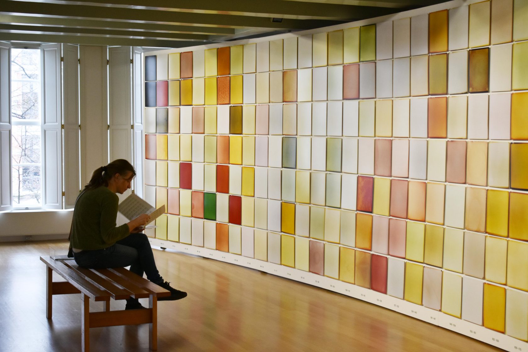 EXTRACT – ‘Florachromes’ door Arja Hop en Peter Svenson