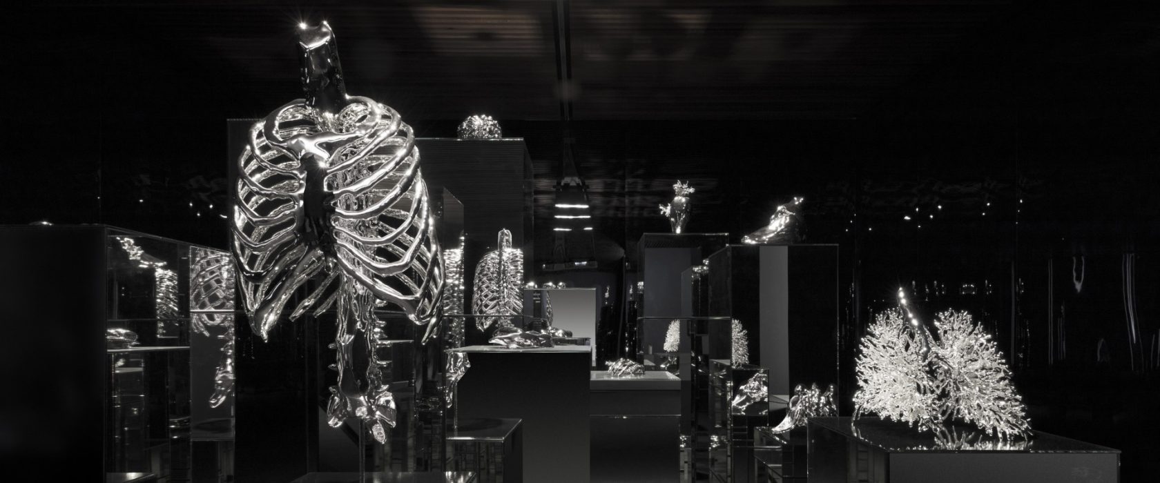 EXTRACT – De nieren, hersenen, longen en meer van Itamar Gilboa