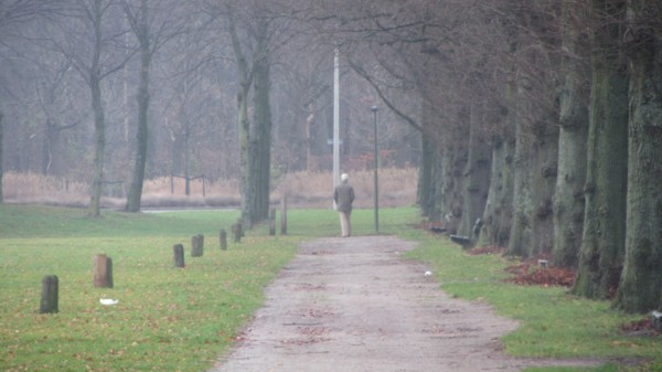 DWAALSPOOR – Een vruchtbaar pad met Francis Alÿs