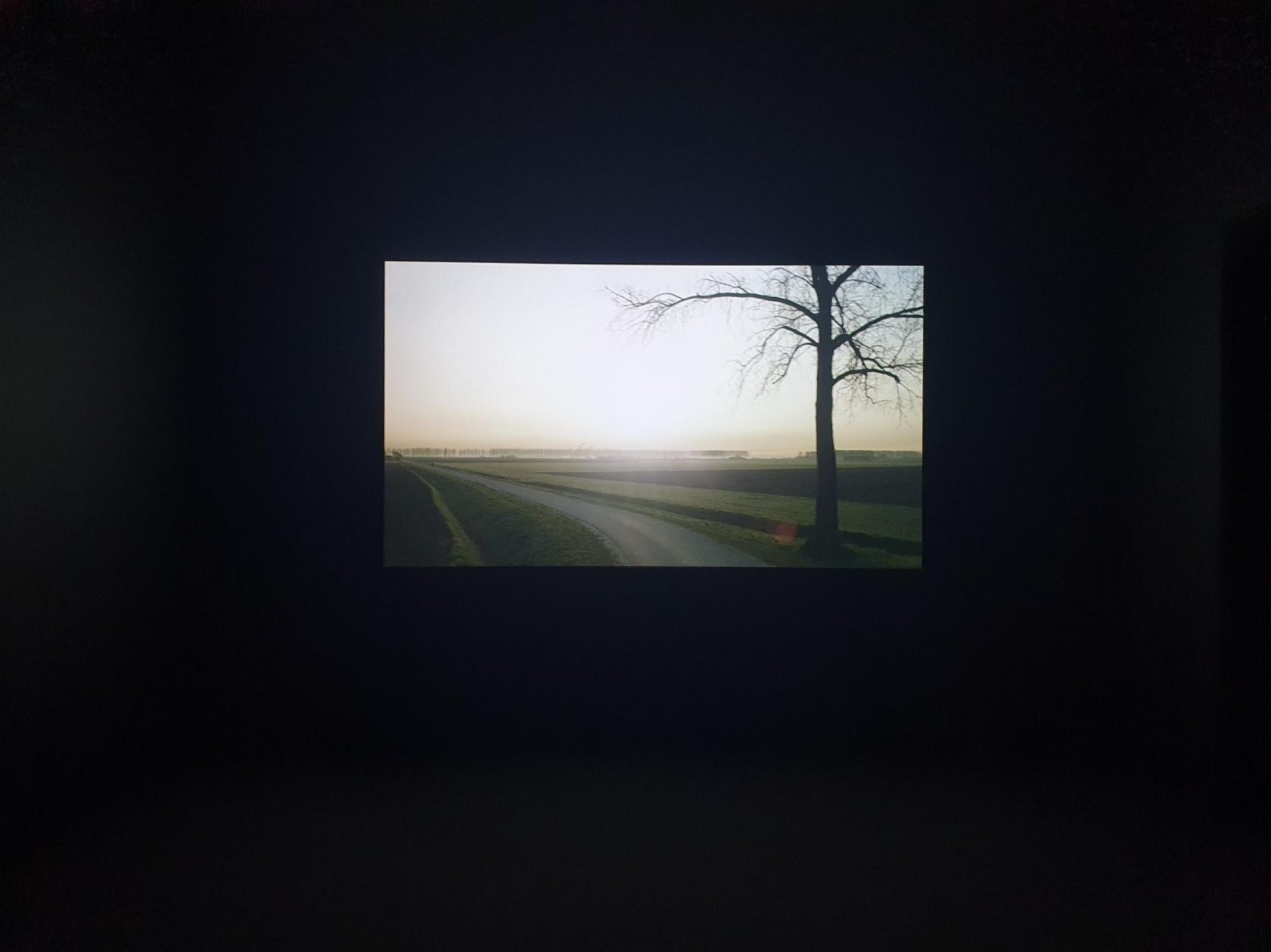 SINISTER – ‘Sunrise’ door David Claerbout