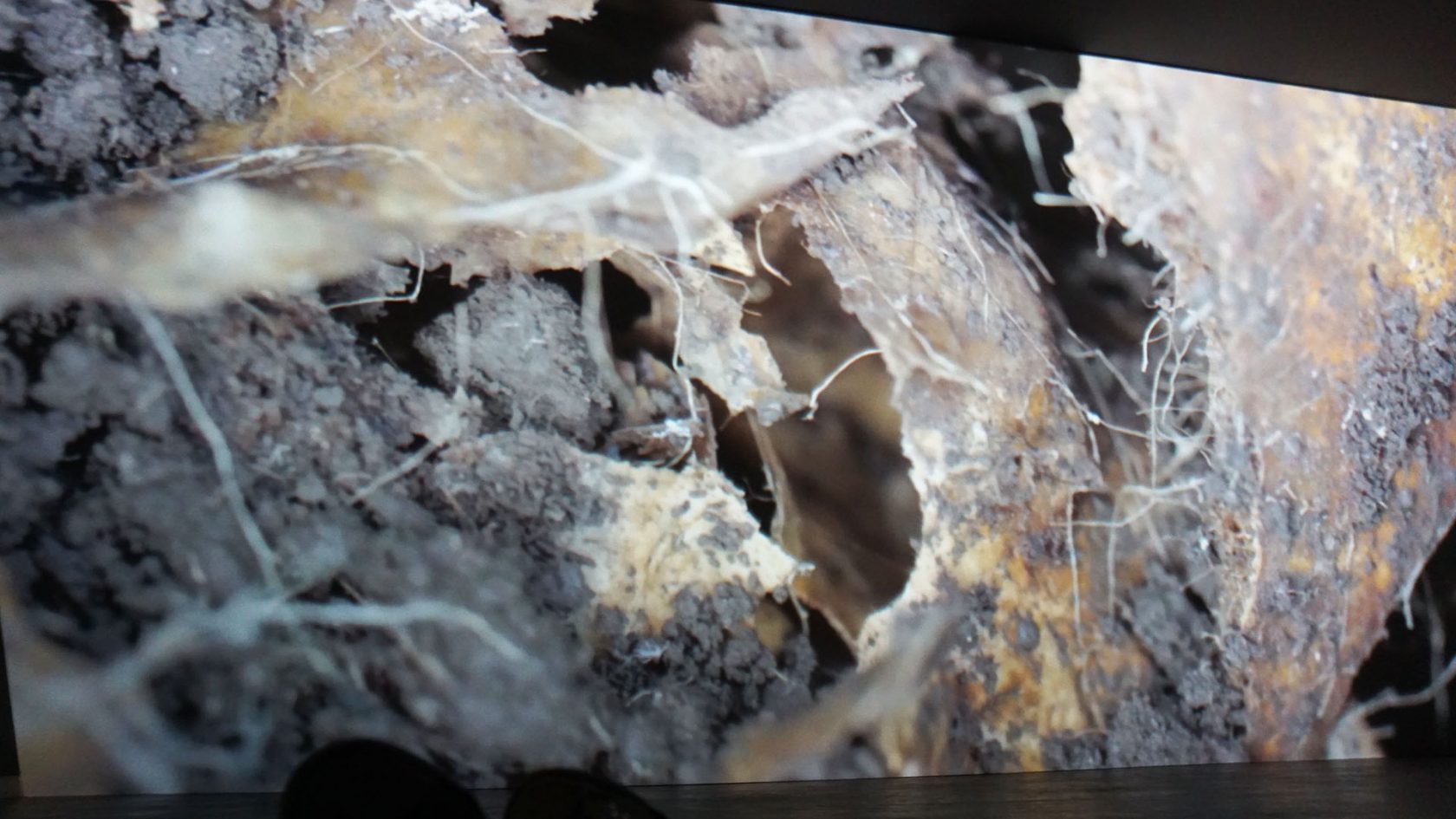 REFLECTIE – ‘Liminal’ door Maya Watanabe